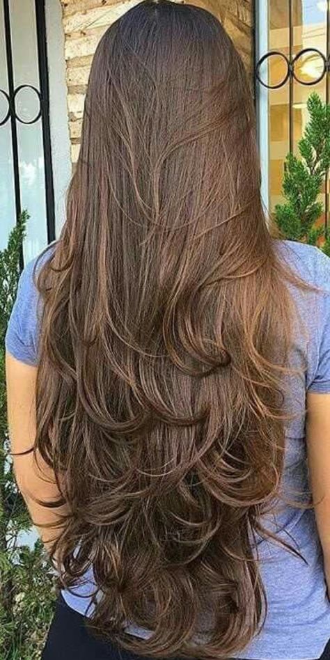 Haircuts For Long Hair Straight, Indian Hair Cuts, Long Hair Highlights, Haircuts For Long Hair With Layers, Hair Inspiration Long, Hairstyles For Layered Hair, Haircuts For Wavy Hair, Front Hair Styles, Hair Summer