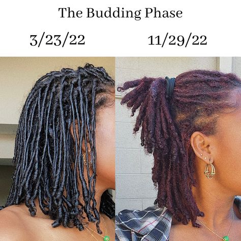 Phases Of Locs, Locs Length Chart, Locs And Claw Clips, Medium Traditional Locs, Budding Phase Locs, Different Loc Sizes, Starting Locs Natural Hair, How To Loc Hair, How To Start Locs On Natural Hair