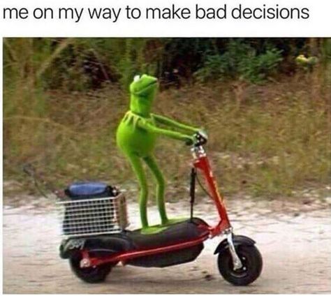 Kermit Humor, Funny Kermit Memes, Sapo Kermit, Kermit Memes, Sapo Meme, Kermit Meme, Kermit Funny, Funny Af, Memes Of The Day