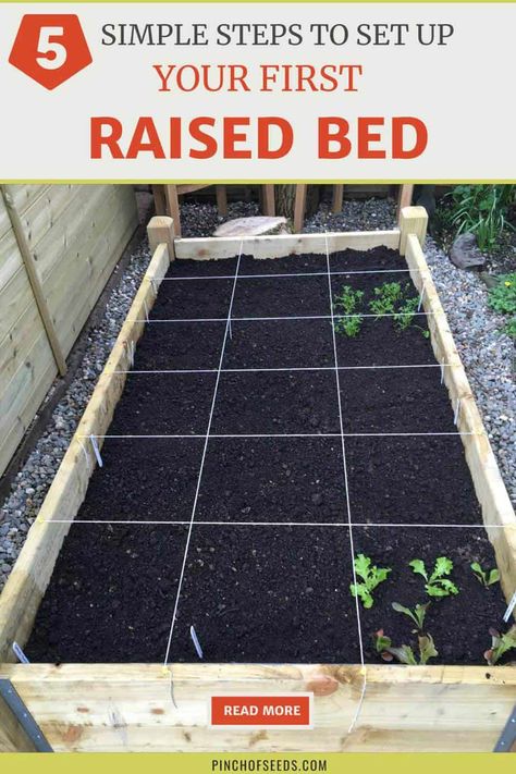 Raised Garden Beds Diy Vegetables, Garden Bed Layout, Metal Garden Beds, Vegetable Beds Raised, Raised Vegetable Gardens, Diy Garden Bed, Vegetable Garden Raised Beds, Small Vegetable Gardens, Garden Layout Vegetable