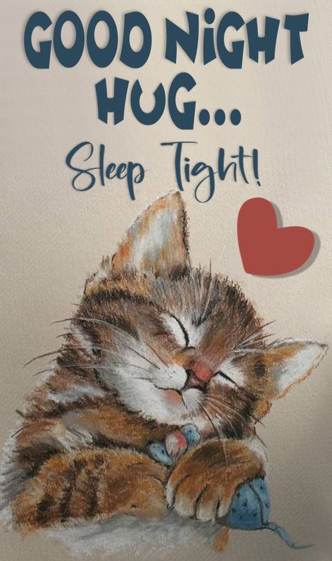 Kitty Good Night Images, Beautiful Good Night Images With Quotes, Good Night Cat Images, Good Night Memes Funny, Goodnite Quotes, New Good Night Images Gif, Night Hug, Funny Good Night, Good Night Hug