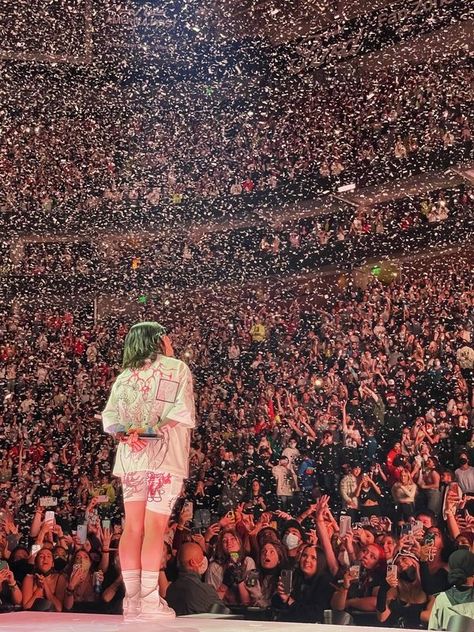 Concert Aesthetic Billie Eilish, Billie Eilish At Concert, Music Aesthetic Artists, Billie Concert Wallpaper, Billie Concert Aesthetic, Billie Eilish Concert Pics, Music Tour Aesthetic, Billie Eilish Concert Aesthetic, Music Artists Aesthetic