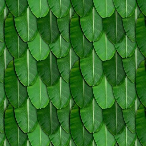 (1) WhatsApp Banana Leaf Background, Ganesha Pooja, Pooja Backdrop, Leaves Backdrop, Banana Leaf Decor, Baby Cartoon Characters, Pooja Decor, Banana Leaf Wallpaper, Banana Leaf Print