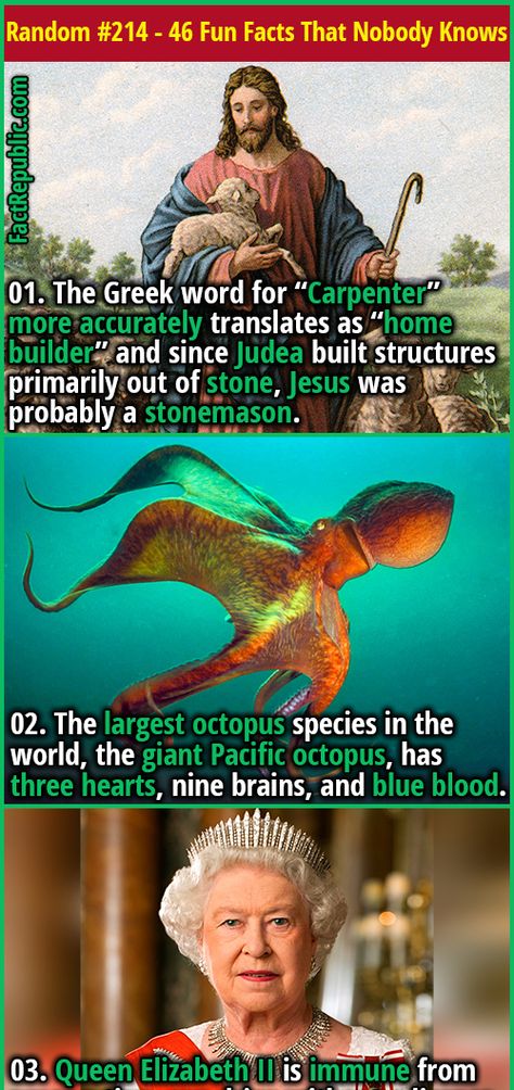 46 Fun Random Facts That Almost Nobody Knows - Part 214 | Fact Republic Unbelievable Facts Did You Know, Random Funny Facts, Funny Facts Hilarious, Random Facts Interesting, Funny Facts Mind Blowing, Funny True Facts, Mind Blowing Thoughts, Fun Facts Mind Blown, Epic Facts