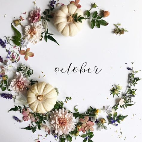 october wreath arranged with fresh cut garden flowers and a pumpkin  #hellooctober #october #floralarrangement Autumn Weather, Hello October, Happy October, Pumpkin Picking, Month Flowers, Foliage Plants, Birthday Month, Changing Seasons, Months In A Year