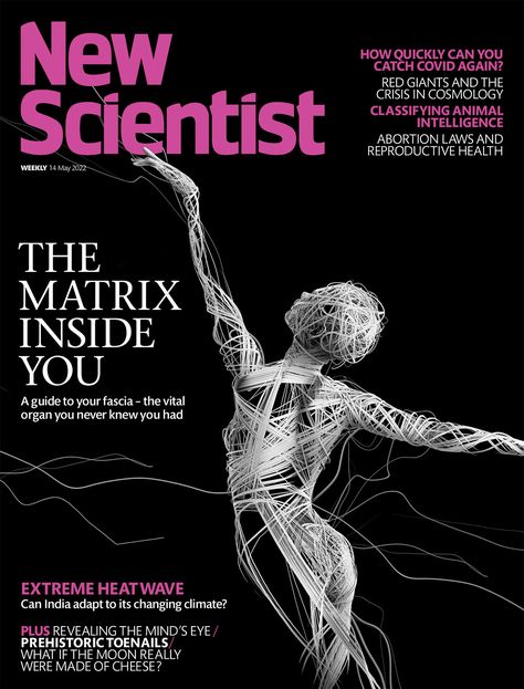 New Scientist - magazine cover. on Behance New Scientist Magazine Covers, Indesign Templates Free, Scientific Magazine, Animal Intelligence, Magazine Front Cover, Publishing Design, Graphic Design Editorial, The Mind's Eye, Science Magazine