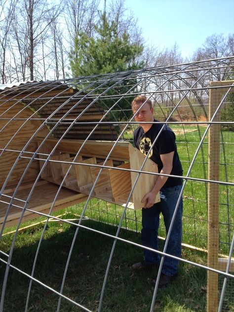 Chicken Tractor Diy Plans, Cattle Panel Chicken Tractor, Diy Hoop Chicken Coop, Diy Movable Chicken Run, Hoop Chicken Tractor, Diy Chicken Tractor Plans, Movable Chicken Coop Diy, Chicken Tractors Diy, Chicken Coop Hoop House