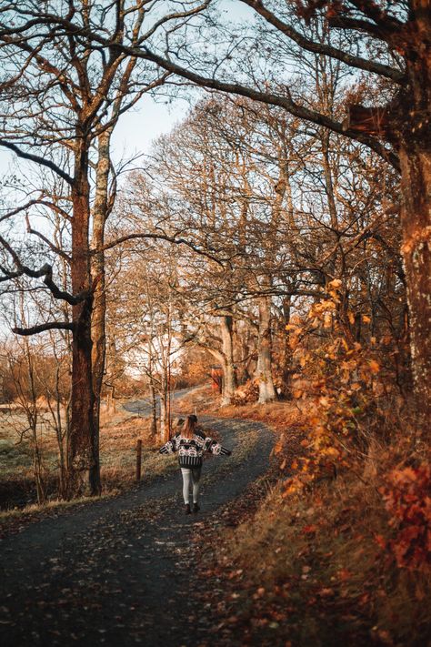 Sweden In November, Autumn In Sweden, Denmark Autumn, Sweden Autumn, Sweden Aesthetic, November Autumn, Most Beautiful Places To Visit, Fall Colours, Fall Camping