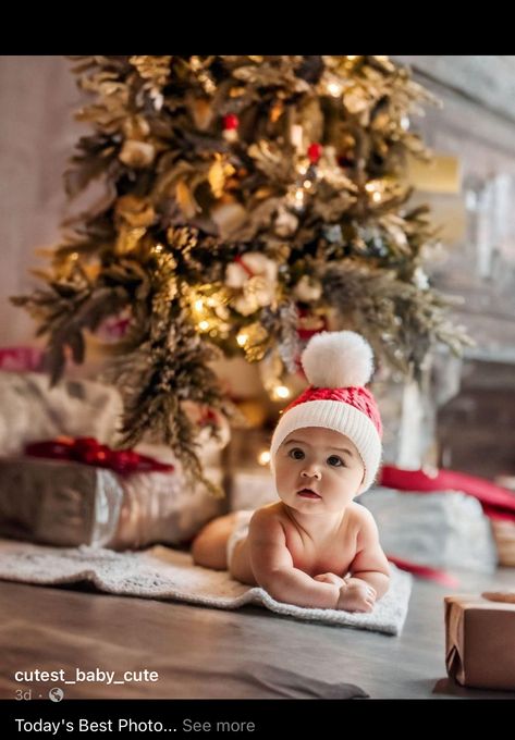 Christmas Photos 6 Month Old, Baby Christmas Photos 3 Month, 6 Month Old Christmas Photoshoot, 3 Month Christmas Pictures, 4 Month Old Christmas Pictures, December Monthly Baby Photos, 6 Month Christmas Pictures Baby, Babies First Christmas Pictures, Eloise Christmas