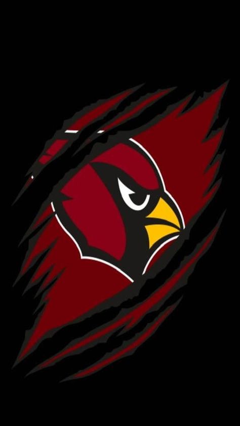 Arizona Cardinals Wallpaper, Cardinals Wallpaper, Az Cardinals, Arizona Cardinals, Buckets, Cardinals, Wallpaper Iphone, Arizona, Iphone Wallpaper