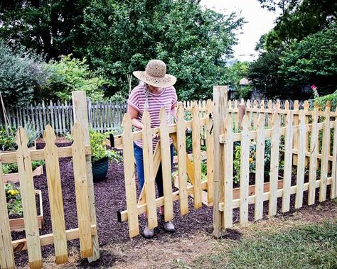 How to Build a Picket Fence Garden Gate | HGTV Picket Fence For Garden, Pallet Wood Picket Fence, Picket Fence Around Garden, Garden Gates And Fencing Diy, Cottage Garden Picket Fence, Diy Picket Fence Gate, Picket Fence Chicken Run, Picket Garden Fence, Diy Picket Fence Ideas