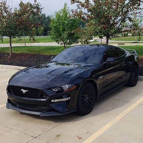 Black Mustang, Ford Mustang Car, Dream Cars Jeep, Mustang Convertible, Mustang Cars, Super Luxury Cars, Classy Cars, Pretty Cars, Expensive Cars