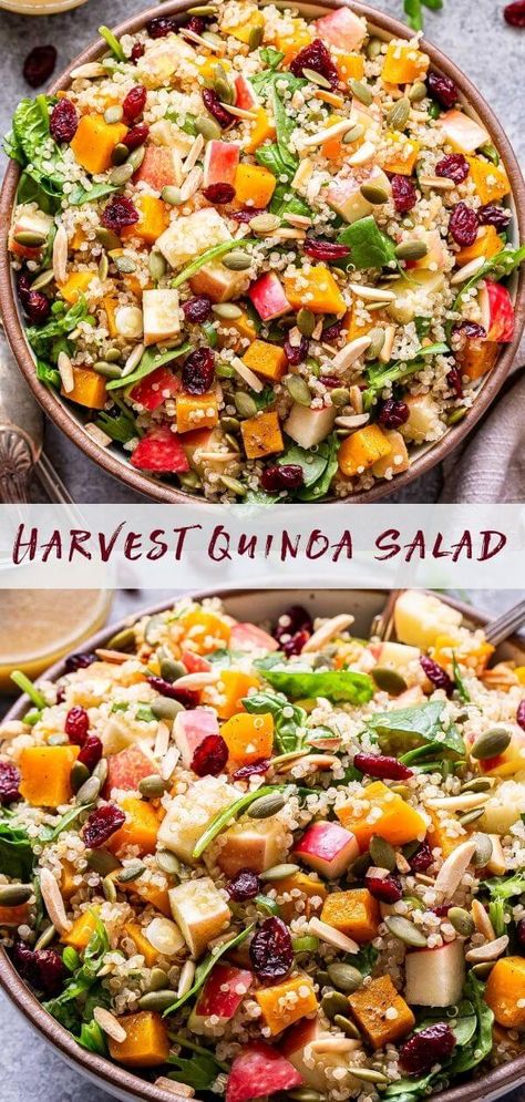 Harvest Quinoa Salad, Salads Healthy, Cider Vinaigrette, Harvest Salad, Supper Ideas, Quinoa Salad Recipes, Recipes Delicious, Autumn Salad, Healthy Salad