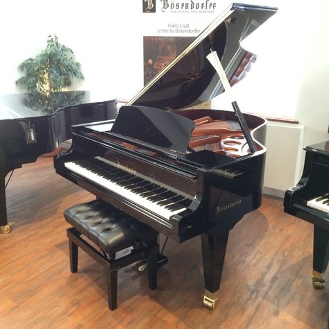 New and second-hand piano sales. Upright, baby grand and grand pianos for sale include Yamaha, Petrof, Steinway, Bosendorfer and Venables & Son pianos. Grand Piano Room, Piano Living Rooms, Piano For Sale, Grand Pianos, Baby Grand Pianos, Piano Room, Grand Piano, Two Hands, Piano