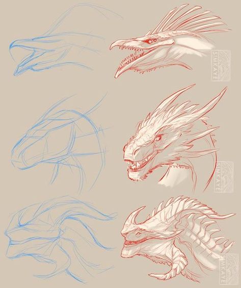 Dragon Head Drawing, Dragon Anatomy, Dragon Heads, Head Anatomy, Face Anatomy, Dragon Face, Drawing Heads, Dragon Sketch, Fantasy Drawings