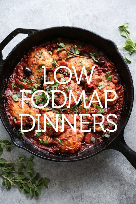 The best quick easy low FODMAP dinner recipes for weeknight meals, from chicken to pasta, steak and fish, all gluten-free and some vegetarian! Healthy Recipes Low Fodmap, Low Fod Map Ground Beef Recipe, Fodmap Recipes Chicken, Ground Beef Fodmap Recipes, Low Fodmap Chicken Dinner, Low Fob Dinner, Low Fodmap Quick Meals, Best Low Fodmap Dinner Recipes, Low Gluten Meals