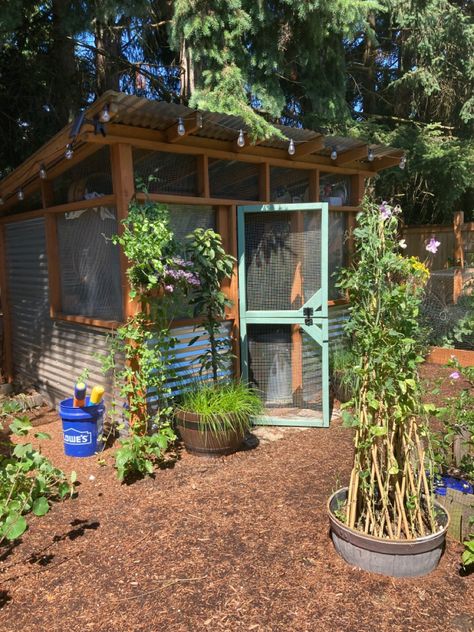 Backyard Chicken Coop Chicken Garden Run, Cottagecore Chicken Coop, Beautiful Chicken Coop, Chickens Garden, Chicken Hutch, Backyard Chicken Coop, Cute Chicken Coops, Chicken Coop Garden, Chicken Shed