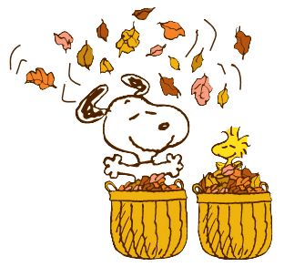 Snoopy & Woodstock fall into Autumn Snoopy Fall, Hello Kitty Imagenes, Leaves Falling, Charlie Brown Snoopy, Peanuts Cartoon, Peanuts Characters, Snoopy Quotes, Snoop Dog, Snoopy Love