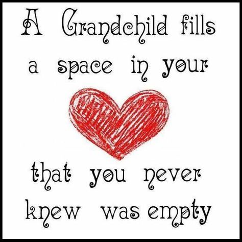 10 Priceless Quotes That All Grandparents Will Love Grandson Quotes, Grandkids Quotes, Quotes About Grandchildren, Grandparents Quotes, Grandma Quotes, Grandparents Day, Family Quotes, Grandchildren, The Words