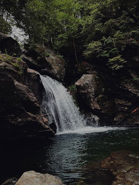 Pretty Like The Forest, Waterfall In Forest Aesthetic, Dark Forest Waterfall, Forest Astetics, Small Waterfall Aesthetic, Dark Mossy Forest, Waterfall Forest Aesthetic, Forest Green Aethstetic, Waterfall Dark Aesthetic