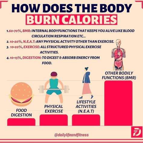 This is where the body burns calories from . Follow us for daily advice . . Visit blinklift.com for articles about health and fitness 💪 Group Reference, 1000 Calories A Day, Burn 1000 Calories, Daily Advice, Fruit Recipes Healthy, Lose Thigh Fat, Exercise Activities, 1000 Calories, Home Beauty Tips