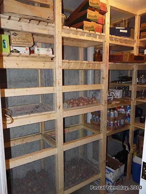 Cold-storage unit / cool room in house basement - Guide to build it - Basement Storage Closet, Diy Vegetable Storage Bin, Root Cellar Storage, Cold Storage Room, Diy Food Storage, Vegetable Storage Bin, Food Storage Rooms, Food Storage Shelves, Wooden Storage Shelves