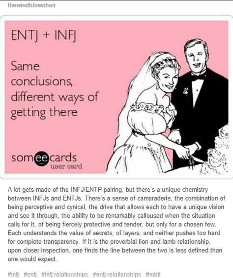 An explanation of INFJ and ENTJ relationship dynamics Intj Relationship Dynamics, Enfj Entj Relationship, Infj Entj Relationship, Infj Relationship Dynamics, Entj X Infj, Infj Entj, Ideal First Date, Entj Relationships, Entj Women