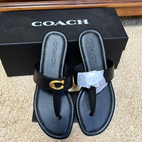 Nib! Coach Sz 5.5 B Black Leather Jessie Thong Sandals . Comfy And Sold Out. Sandals Comfy, Navy Blue Sandals, Pretty Shoes Sneakers, Classy Shoes, Kitten Heel Sandals, Snakeskin Heels, Black Leather Sandals, Only Shoes, Buckle Sandals