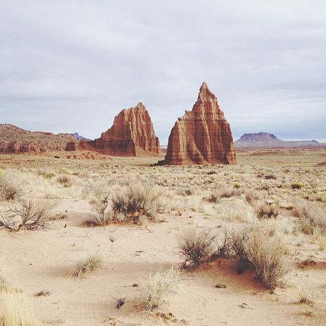 Aristotle And Dante, Puzzle Collection, Into The West, Capitol Reef, Desert Dream, Capitol Reef National Park, Desert Vibes, Desert Landscaping, Oh The Places Youll Go