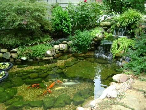 Koi Ponds Without Being Formal Koi Ponds Reka Bentuk Landskap, Fish Ponds Backyard, Koi Pond Design, Pond Construction, Kolam Air, Kolam Koi, Fish Pond Gardens, Taman Air, Goldfish Pond