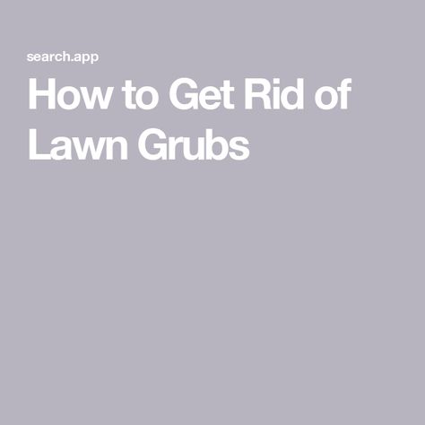 How to Get Rid of Lawn Grubs Moles In Yard, Gutter Guard, Service Quotes, Termite Control, Solar Companies, Soil Testing, Woodworking Workshop, Home Safety, Alternative Energy