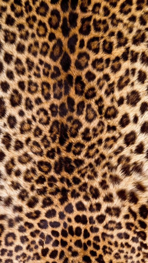 Tortoise Print Wallpaper, Snap Wallpaper Chat, Cheetah Print Background, Cheetah Background, Cheetah Skin, Cheetah Wallpaper, Leopard Print Wallpaper, Cheetah Print Wallpaper, Dark Red Wallpaper