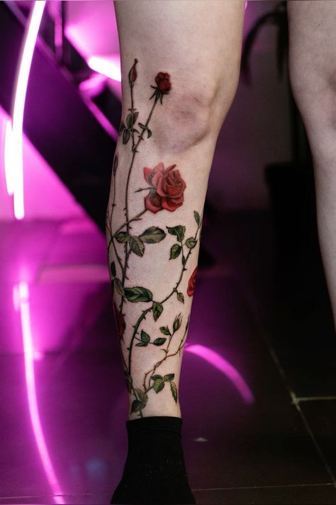 Roses Thorns Tattoo, Tattoo Trends 2024 Women, Roses And Thorns Tattoo, Roses Leg Tattoo, Rose Tattoo Man, Red And Black Rose Tattoo, Rose Thorns Tattoo, Rose Tattoo On Leg, Rose Leg Tattoo