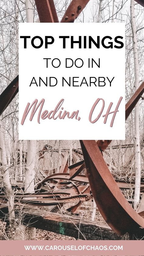 Top things to do in medina ohio, carousel of Chaos Medina Ohio, Lake Village, Ohio Travel, Abandoned Amusement Parks, Restaurant Guide, Lake Park, Amusement Parks, Solo Female Travel, Hidden Gem