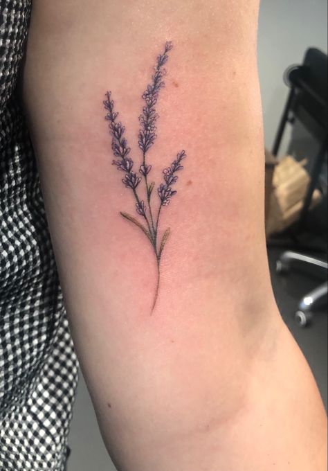 Lavender Tattoo Design, January Tattoo, Lavender Tattoo, Fineline Tattoo, Under My Skin, Maple Leaf Tattoo, I Tattoo, Flower Tattoo, Color Me