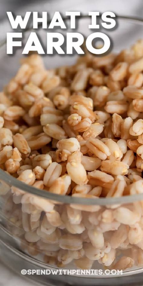 What is farro? It's a super healthy ancient grain! Try using healthy farro as a substitute for barley or brown rice. #spendwithpennies #whatisfarro #sidedish #farro #grain #healthy #howtocook #vsbarley #salad #wheat How To Cook Farro, Vegetable Barley Soup, Farro Recipes, Mushroom Barley Soup, Barley Recipe, Beef Barley, Beef Barley Soup, Farro Salad, Barley Soup