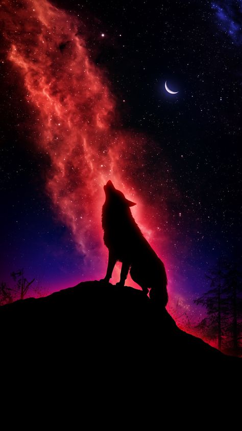 Wolf Art Fantasy, Wallpaper Animals, Ingrain Wallpaper, Ultra Hd 4k Wallpaper, 4k Wallpaper Iphone, Werewolf Art, Wolf Wallpaper, Wolf Pictures, Funny Wallpaper