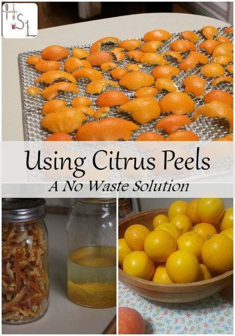 Citrus Peels Uses, What To Do With Citrus Peels, Citrus Peel Uses, Composting Worms, Cleaning Body, Waste Free Living, Seasonal Living, Winter Fruit, Waste Free