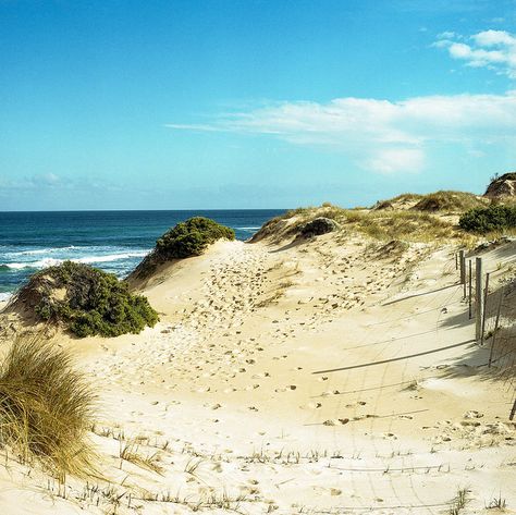 Rye Beach Rye, Mornington Peninsula, Victoria, Australia Australian Vacation, Beach Carnival, Rye Beach, Australian Beaches, Historic Houses, Beach Shack, Mornington Peninsula, Melbourne Victoria, Rock Pools