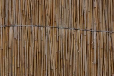 Reed Fence Ideas, Reed Fencing Ideas, Reed Fence, Fence Around Pool, Reed Fencing, Bamboo Garden Fences, Chicken Wire Fence, Kids Play Equipment, Garden Fences