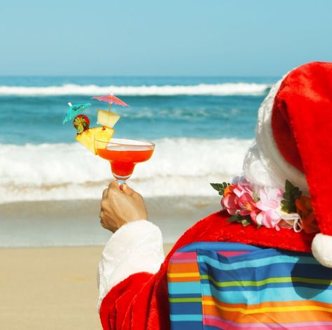 christmas party themes Christmas Beach Photos, Dog Friendly Beach, Beachy Christmas, Christmas Party Themes, July Holidays, Beach Santa, Christmas In July Sale, Summer Christmas, Tropical Christmas