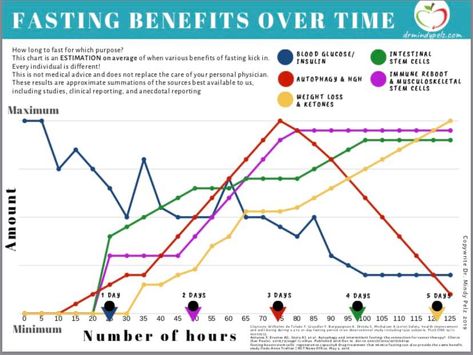 Great chart from Dr. Mindy Pelz! Dr Mindy Pelz Fasting, Mindy Pelz Fasting, Glucose Levels Charts, Intermittent Fasting Rules, Dr Mindy Pelz, Fasting Benefits, Intermittent Fasting Results, Fast Quotes, Health Info