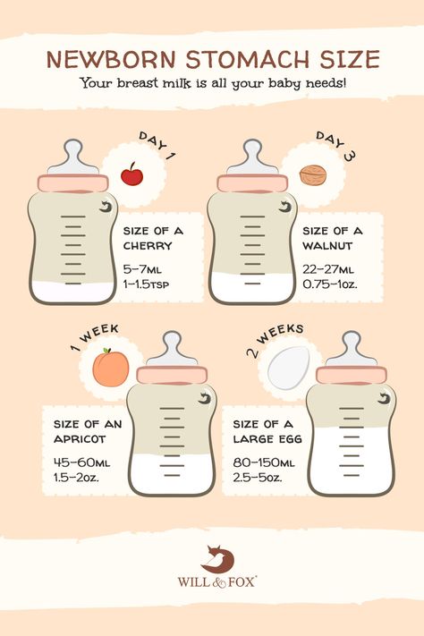 Newborn Stomach Size, Baby Routine, Baby Information, Newborn Baby Tips, Newborn Mom, Baby Life Hacks, Baby Facts, Baby Care Tips, Baby Advice