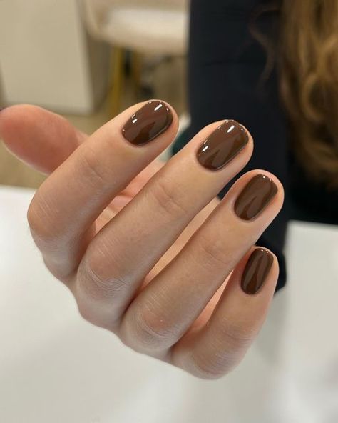 Katie on Instagram: "🤎 @biosculpturegelgb Sunset Boulevard @officialnavyprofessional • • #naturalnails #manicure #biosculpture #yorknails" Short Nail Colors, Brown Nails Ideas, Simple Nail Ideas, Popular Nail Colors, Brown Nail Polish, Brown Nail, Brown Nails Design, Nail Brown, Sunset Boulevard