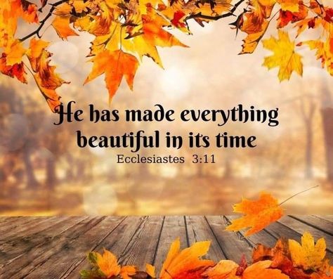 Fall Pictures With Scripture, Autumn Bible Verses, Biblical Calligraphy, Autumn Scripture, Bible Collage, Encouraging Scripture Quotes, Fall Sunday, Encouraging Bible Quotes, Christian Content