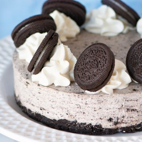 Charlotte's Lively Kitchen | Delicious, simple baking recipes, baking tools and calculators, and lots of tips and tricks. Oreo Torte, Oreo Cake Pops, No Bake Cheesecake Filling, Cake Oreo, Oreo Cheesecake Recipes, No Bake Oreo Cheesecake, Cheesecake Oreo, Oreo Cream, Peanut Butter Oreo