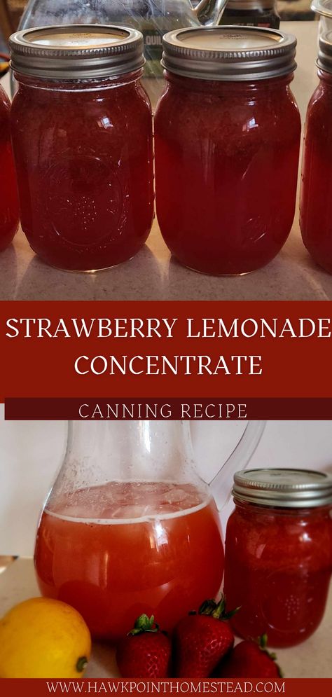 This strawberry lemonade concentrate canning recipe is such an easy way to have a refreshing drink ready to go at any time. Who doesn’t love strawberries and lemonade! This takes just 3 ingredients, and a little work, you can have this refreshing lemonade with the wonderful taste of strawberries at a moment’s notice. Bottled Strawberry Lemonade, Canned Strawberry Lemonade Concentrate, Watermelon Lemonade Concentrate, Canning Drink Concentrate, Strawberry Lemonade Concentrate Canning, Blueberry Lemonade Concentrate Canning, Best Strawberry Lemonade Recipe, Canning Lemonade Concentrate, Strawberry Canning Recipes