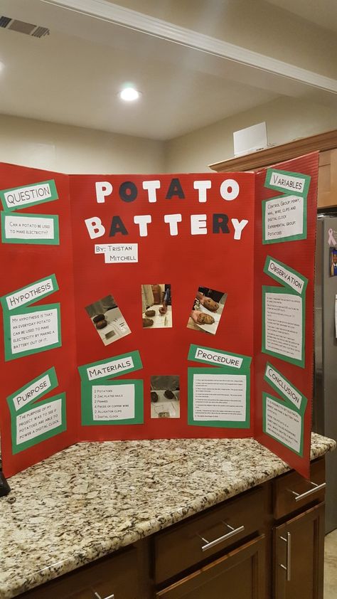 Potato Battery science fair project board. Battery Science Fair Project, Potato Battery Science Project, Science Fair Project Board, Plant Science Fair Projects, Science Fair Topics, Winning Science Fair Projects, 4th Grade Science Projects, Potato Battery, Science Project Board