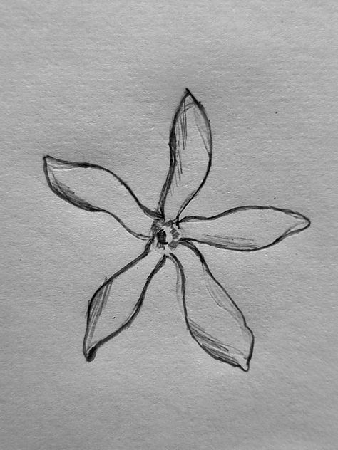 Flower Tattoos Jasmine, White Jasmine Tattoo, Star Jasmine Flower Tattoo, Simple Jasmine Flower Tattoo, Sampaguita Jasmine Flower Tattoo, Jasmine Plant Tattoo, Jasmine Flower Tattoo Design, Star Jasmine Tattoo, Jasmine Drawing Flower