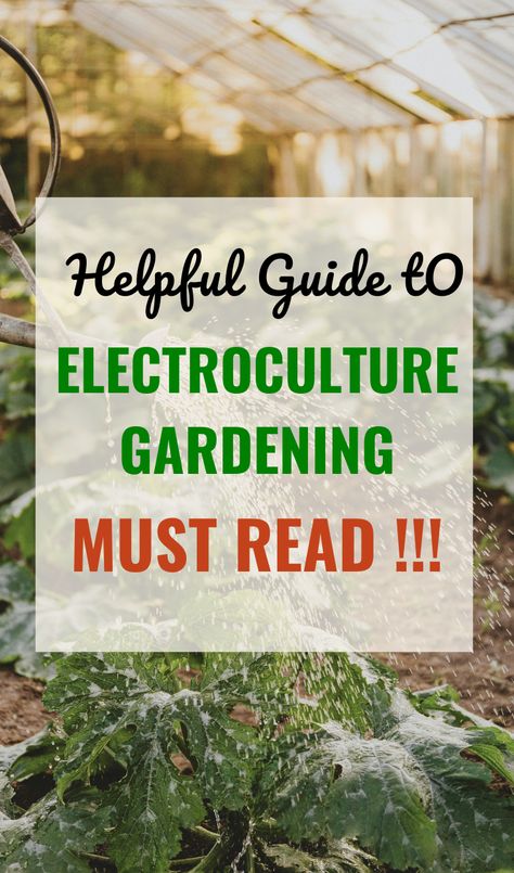 New to Electroculture Gardening? Here's our beginner's guide for everything you need to know about electroculture plant set up! Discover the fundamentals of this innovative gardening technique, from understanding its principles to practical tips for implementation. / electroculture gardening diy electroculture plants electroculture gardening ideas / Electroculture Gardening Diy, Electroculture Diy, Electro Culture Gardening, Electro Gardening, Electroculture Gardening, Chook House, Electro Culture, Conservation Of Energy, Air Energy